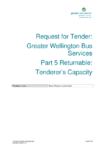 Tenderers' Capacity Response Template (PDF 217 KB) preview