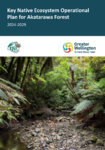 Key Native Ecosystem Operational Plan for Akatarawa Forest 2024-29 preview