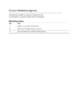 Council Workshop 25 June 2026 Public Agenda preview