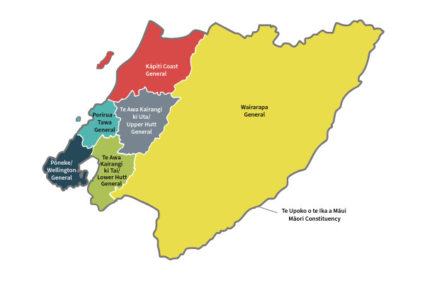 Map of the constituencies in the Wellington region: Kāpiti Coast General, Pōneke/Wellington General, Porirua-Tawa General, Te Awa Kairangi ki Tai/Lower Hutt General, Te Awa Kairangi ki Uta/Upper Hutt General, Te Upoko o te Ika a Māui Māori Constituency, and Wairarapa General