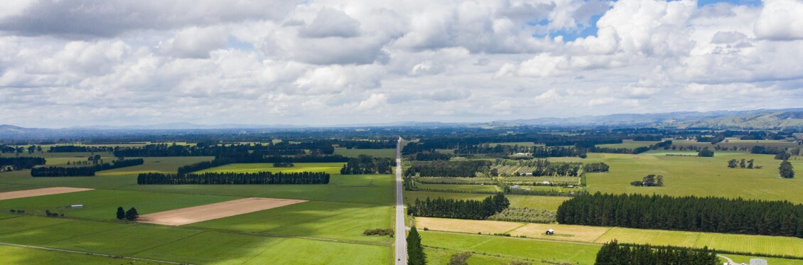 An aerial view of Wairarapa farmland, north of Masterton