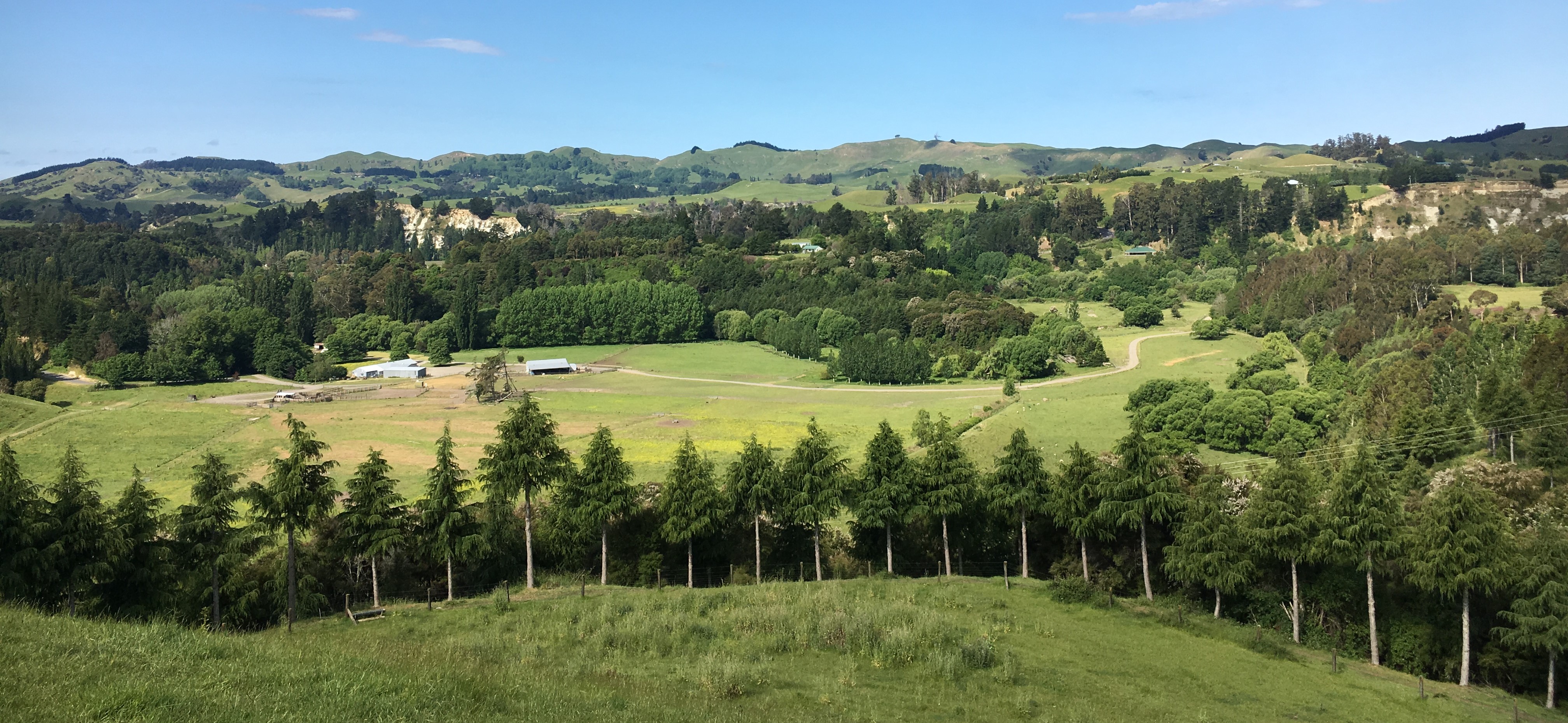 A view of the rolling hills of a farm on a sunny day