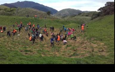 A group of volunteers at a planting day