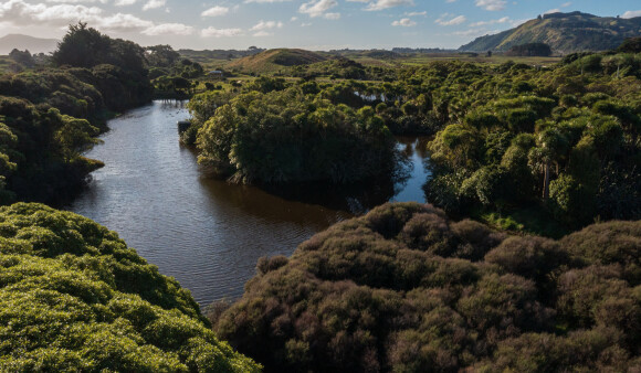 Wetlands at Queen Elizabeth Park