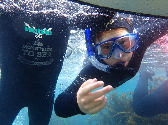 Taputeranga Community Snorkel Day