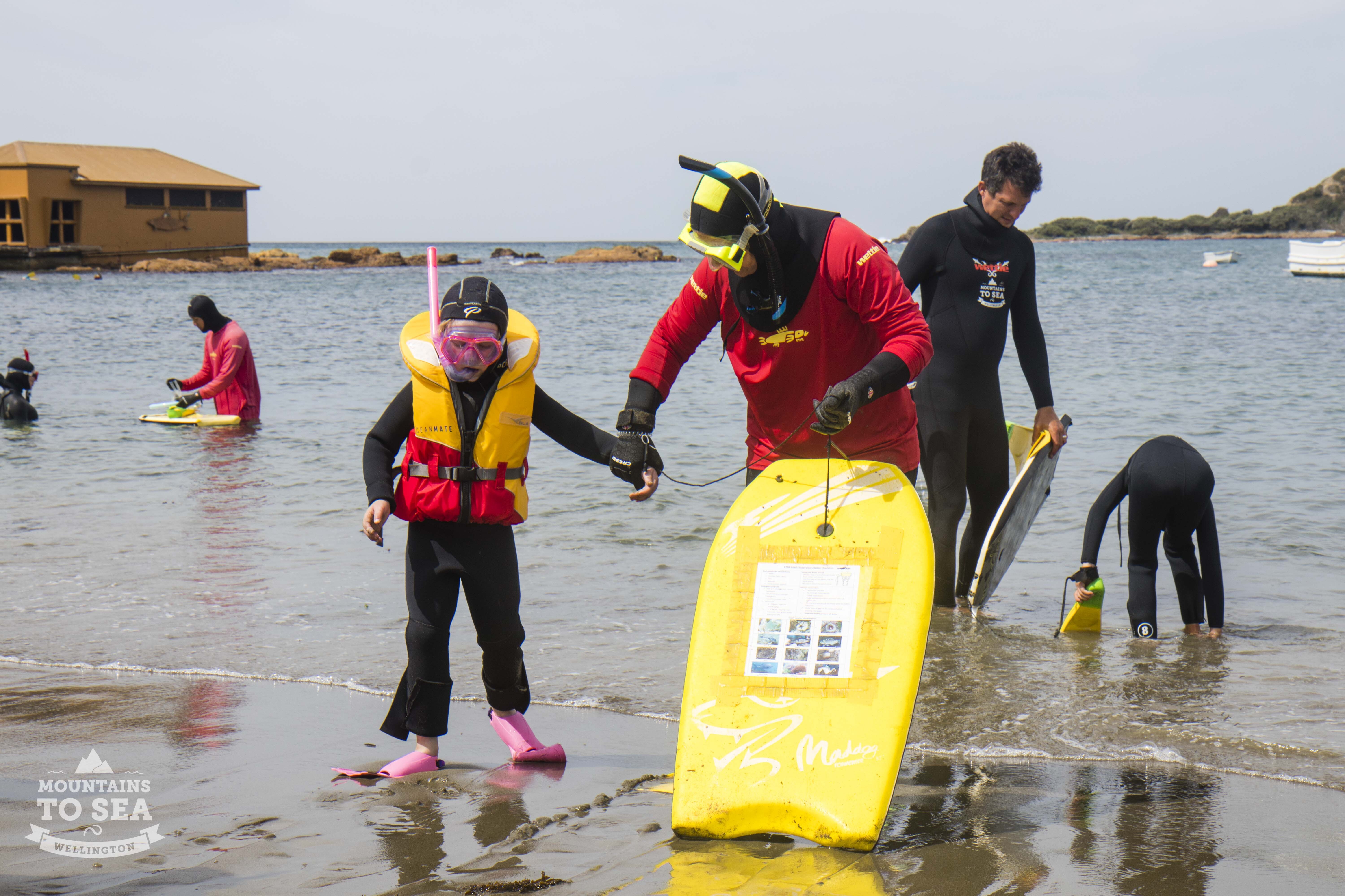 Children and adults in snorkeling gear on the seashore