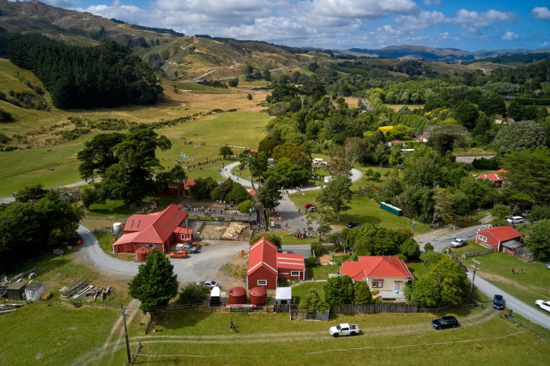 Battle Hill Farm