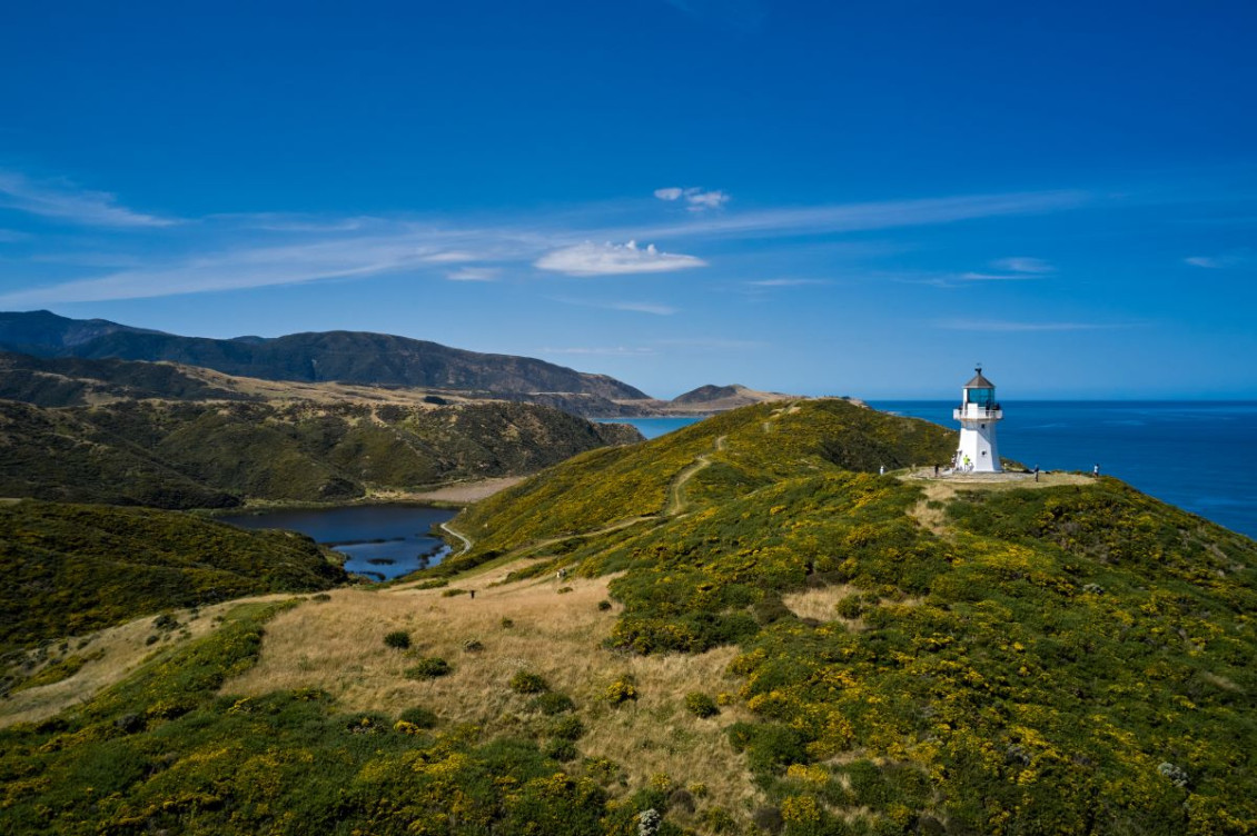 Pencarrow lake and lighthouse for 'Lakes and Lighthouses'