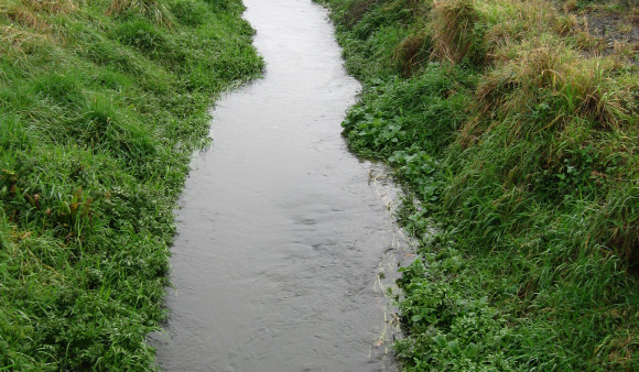 Manaia Drainage Scheme 4.7.12 Pre Clean 1