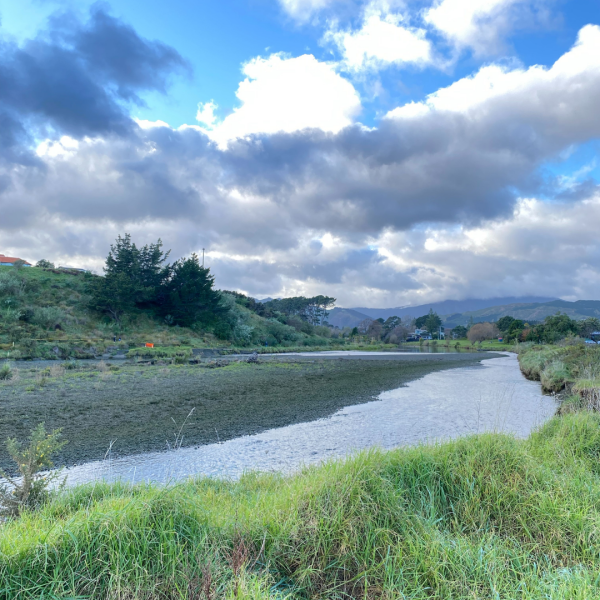 View of the Waikanae River on a sunny day