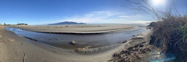 View of Waimeha Stream’s position on Waikanae Beach, seen from the dune near Field Way and facing west toward the sea, with Kāpiti Island visible on the horizon.