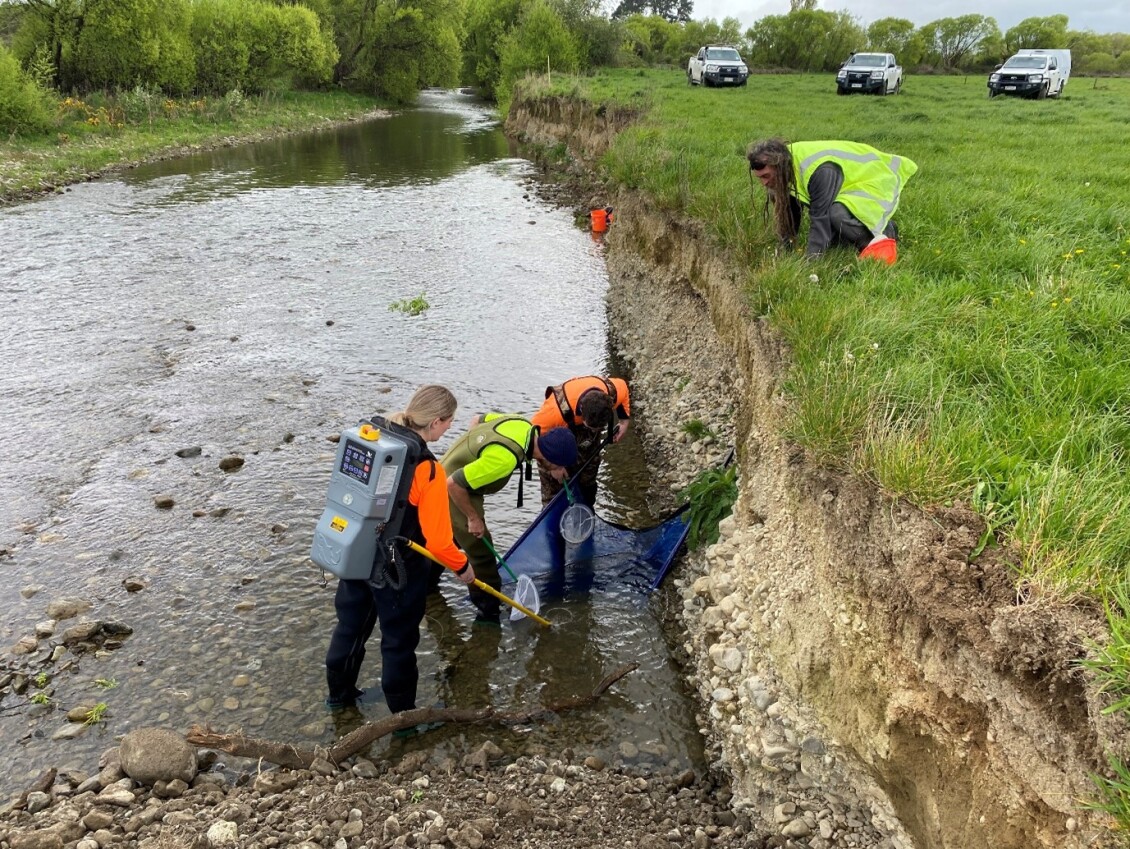 Workers at the bank of Mangatārere Stream