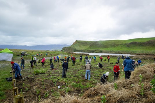 Friends of Ōnoke Spit planting day 