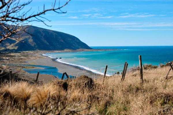 View down to the beach at East Harbour Regional Park