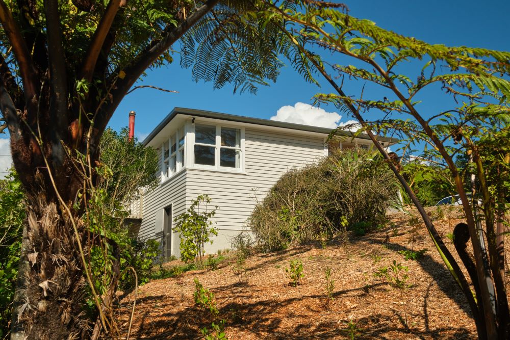 Boulder House, a white building peeking out from native plants