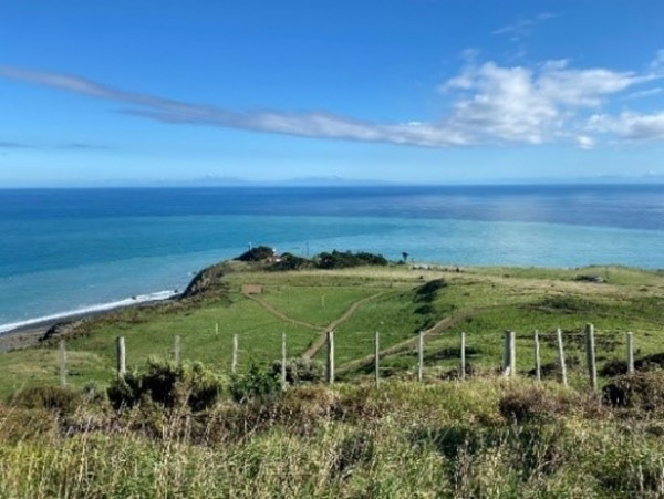 View towards the ocean from Baring Head