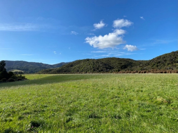 A view across a field at Kaitoke Regional Park