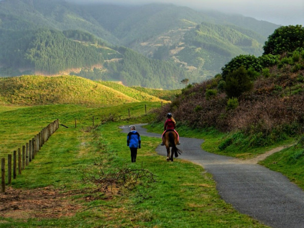 A walker and a horse rider on a track in QEP