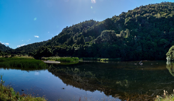 Wainuiomata Water Walk 1