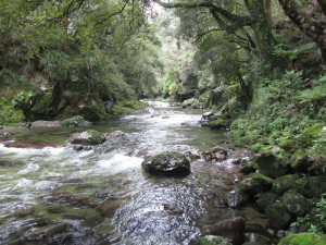 Western Hutt River