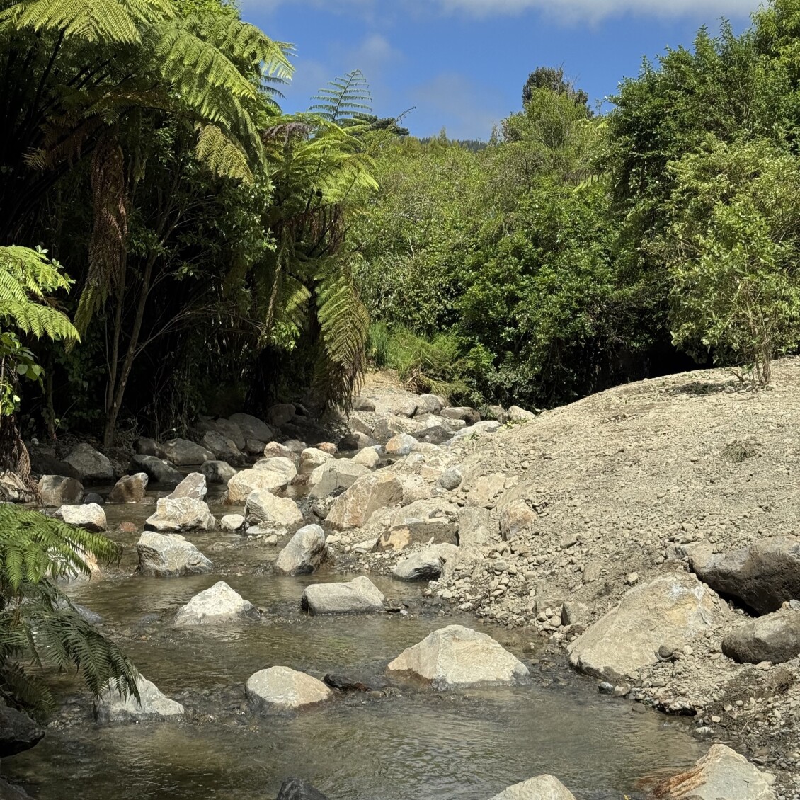 Wharemauku Stream and its rock ramp for fish passage