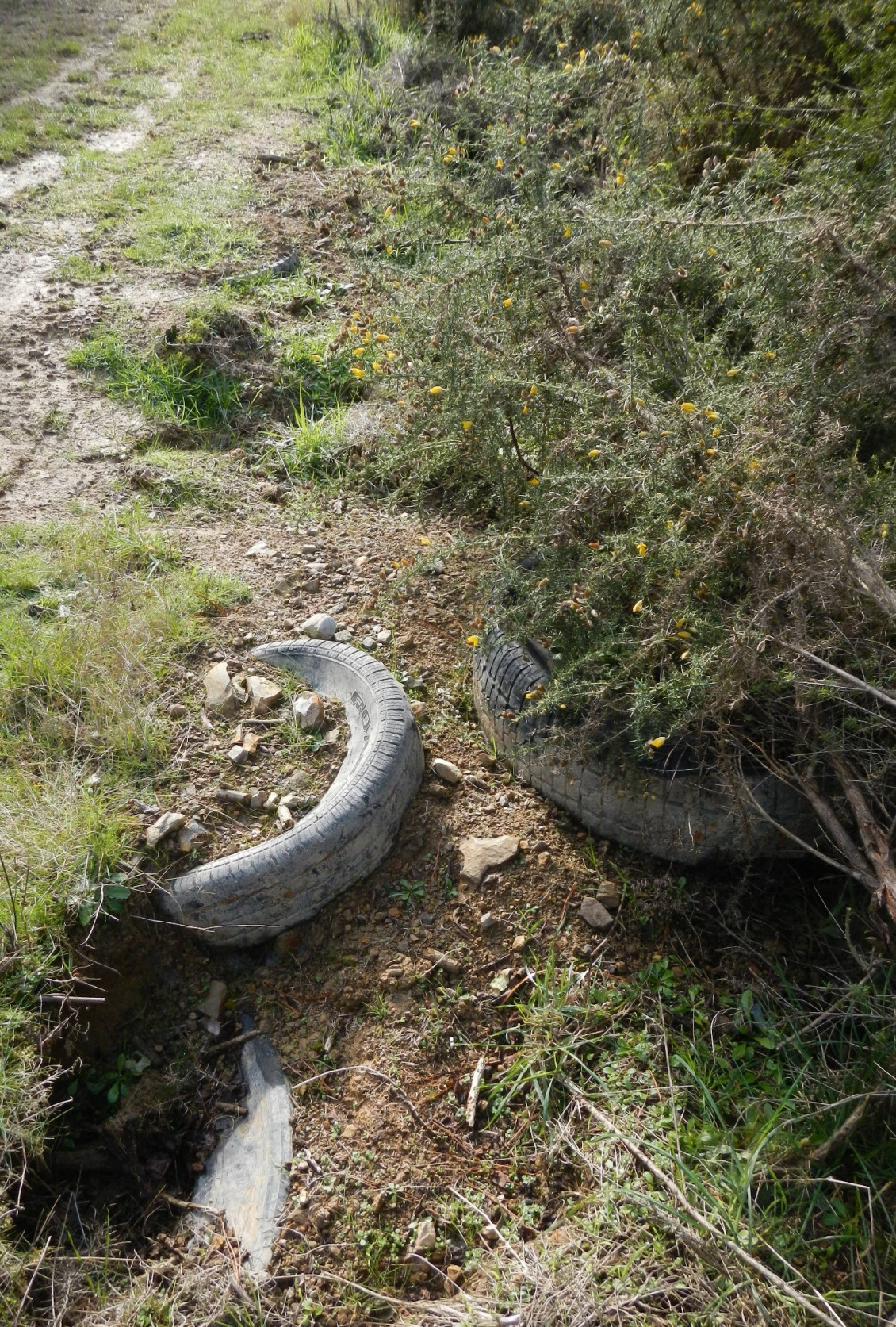 Partially buried waste tyres