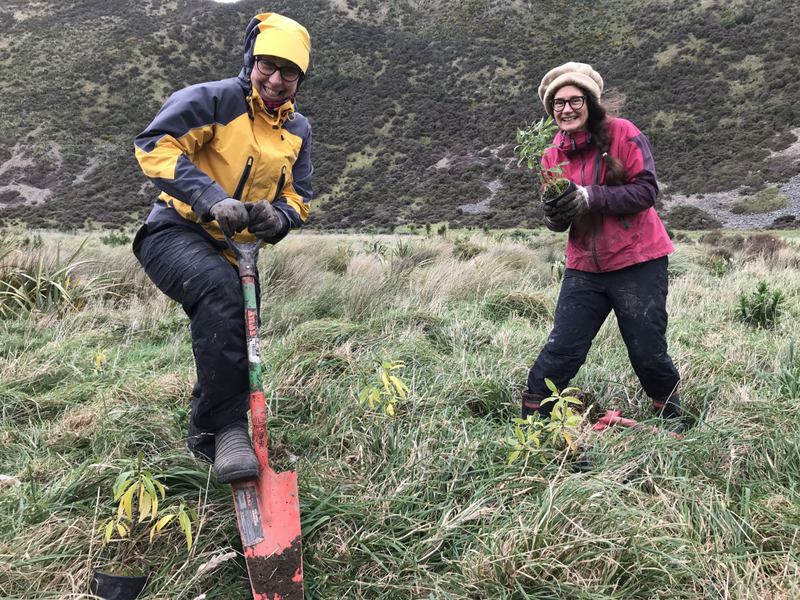 community planting 2 Baring head 10 7 22