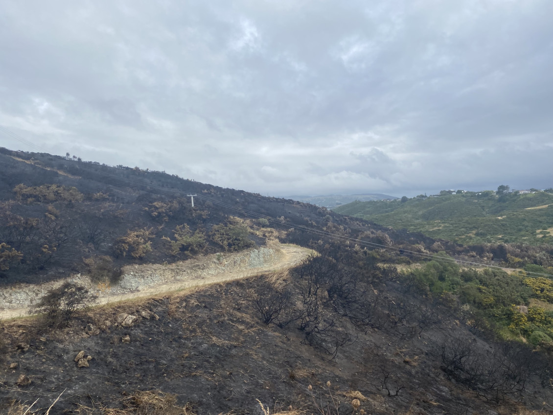 Fire over Onepoto Loop Track