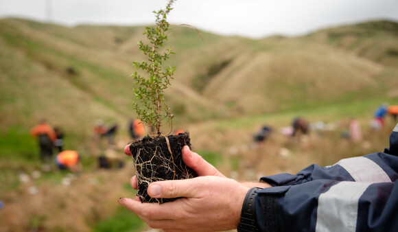 J002246 Belmont Porirua Planting Day 2023 36