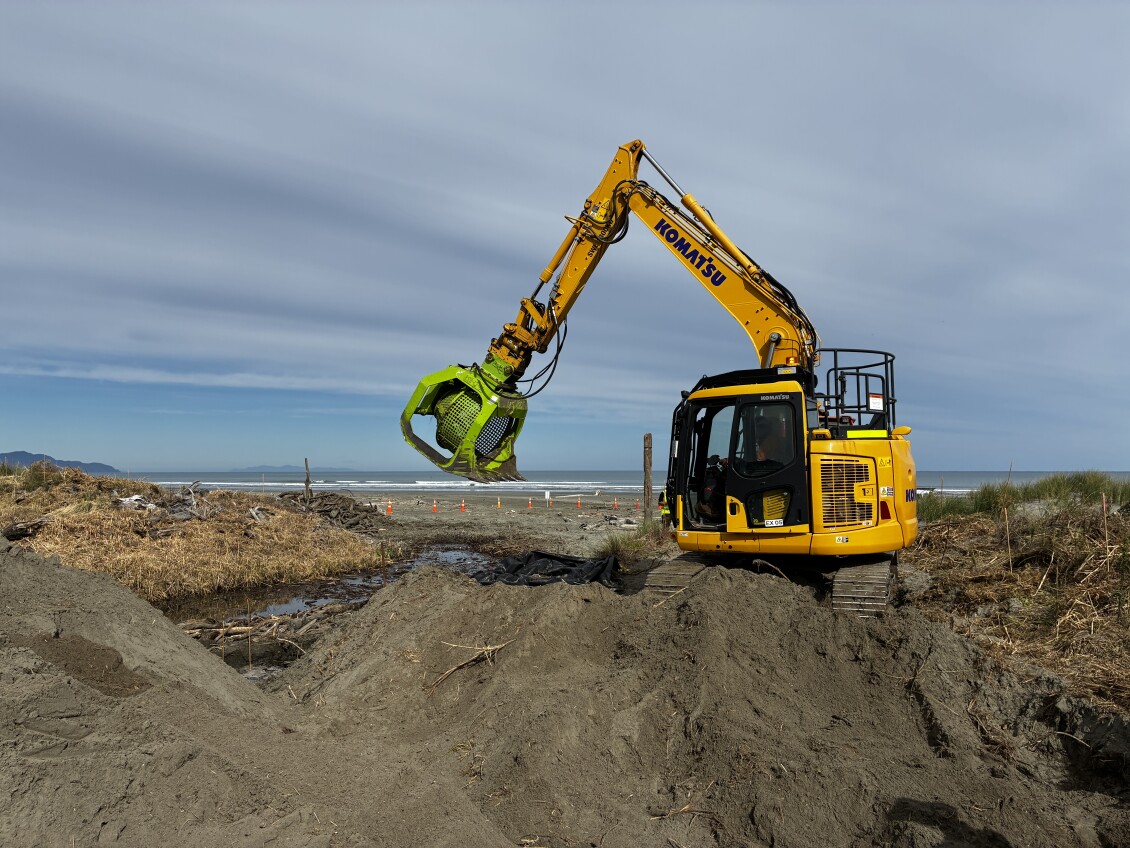 Digger excavating Phragmites karka (common reed) at Lake Waiorongomai