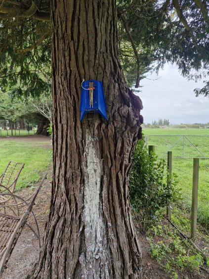 Trap on a tree